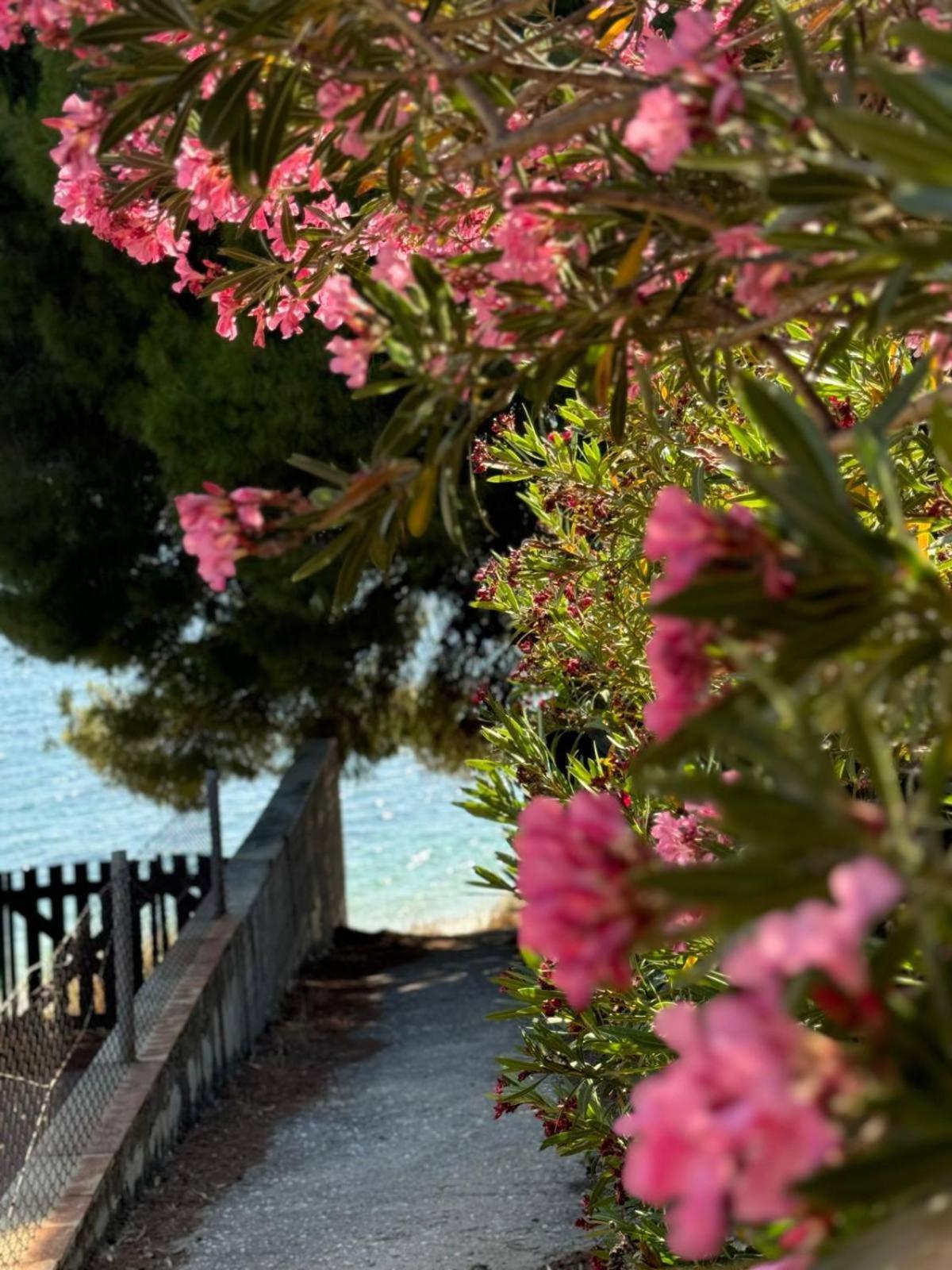 Villa Stadi Nikiti  Extérieur photo